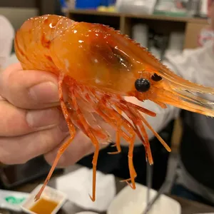 행복해 회 사진