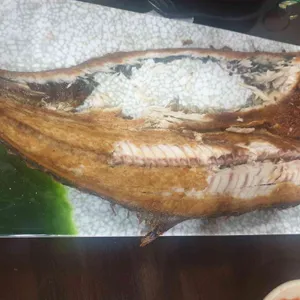 바다삼치 사진