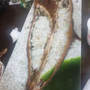 바다삼치 리뷰 사진