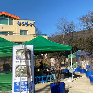 광교헌농원 리뷰 사진