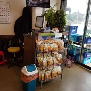 수타 왕중왕 손짜장 사진