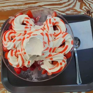 화이트스노우 사진