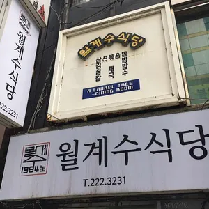 월계수 리뷰 사진