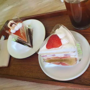 자유정거장 사진