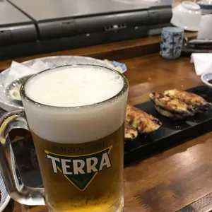 금화 사진