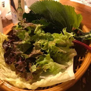 암퇘지 오양식관 사진