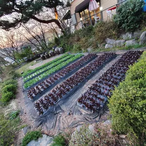 뜰에서화로구이 리뷰 사진