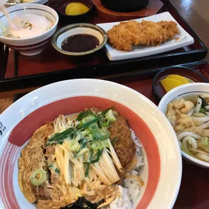 신기소 플러스 리뷰 사진