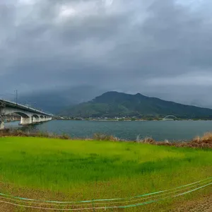 강이다 리뷰 사진