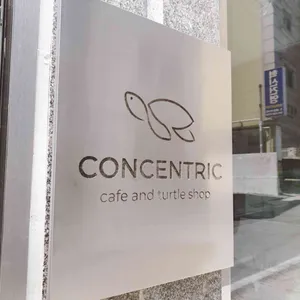 콘센트릭 리뷰 사진