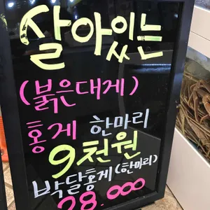 속초붉은대게수산 리뷰 사진