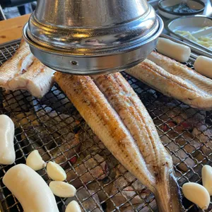 황토장어 사진
