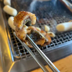 황토장어 사진