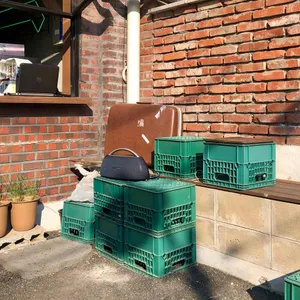 녹사다리 리뷰 사진