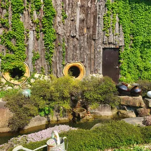 흙내음 대표 사진