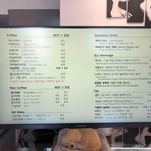 듀숑 리뷰 사진
