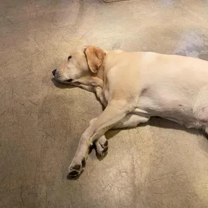 피넛커피 리뷰 사진