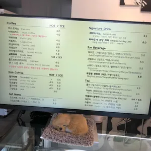 듀숑 리뷰 사진