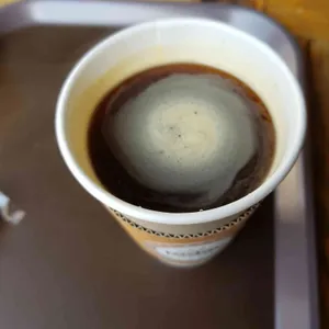 Cafe Lodge 사진