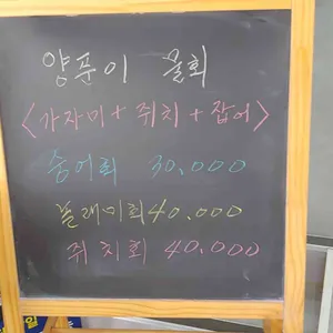 진보양푼이물회횟집 리뷰 사진