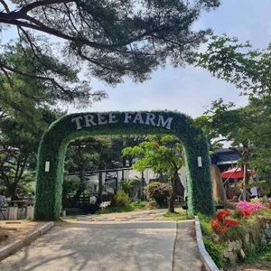 트리팜 리뷰 사진