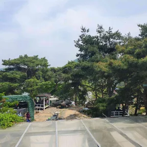 트리팜 리뷰 사진