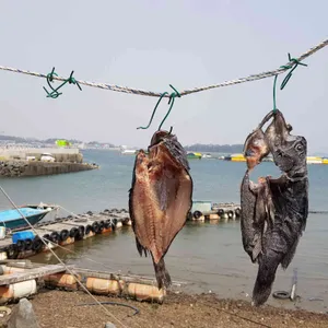 새조개회센타 리뷰 사진