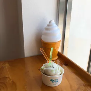 글라시에홍 사진