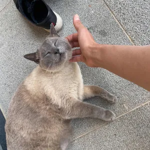 도솔미술관 리뷰 사진