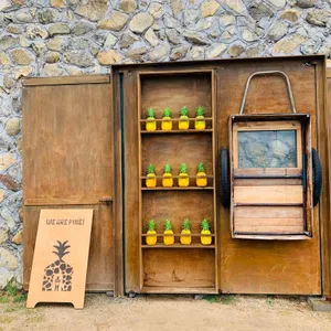 파인에이플러스 리뷰 사진