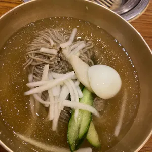 송도갈매기 사진