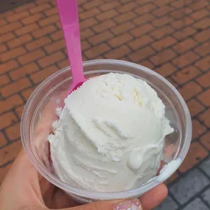 WAYO 사진