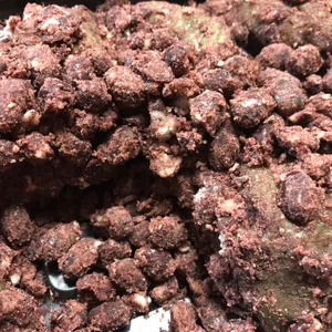 진아떡집 리뷰 사진