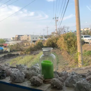 곽지국시 사진
