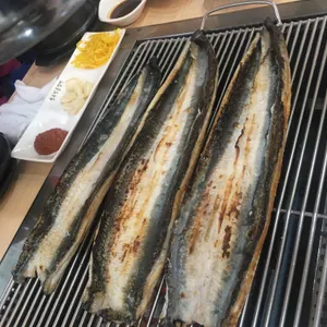 청수민물장어 사진