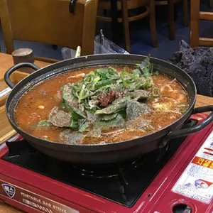 민들레 사진