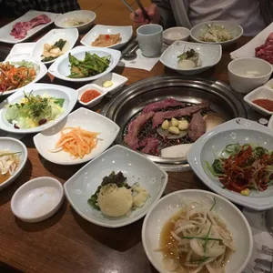 송도갈매기 사진