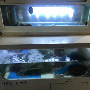 쭈낙쭈낙 리뷰 사진