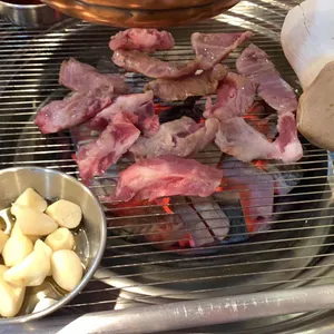 때때로고기 사진