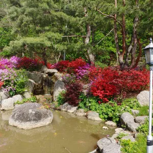 디새농원 리뷰 사진