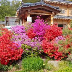 디새농원 리뷰 사진