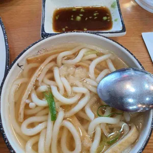 포동이네 사진