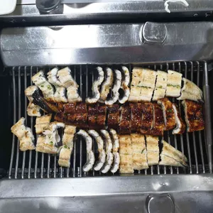 고복정 사진