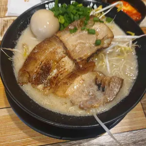 코이라멘 사진