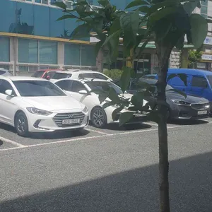 별미콩나물국밥 리뷰 사진