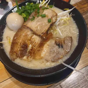 코이라멘 사진