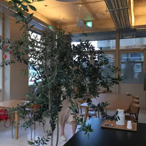 푸로레 커피 리뷰 사진
