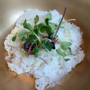 녹우 사진