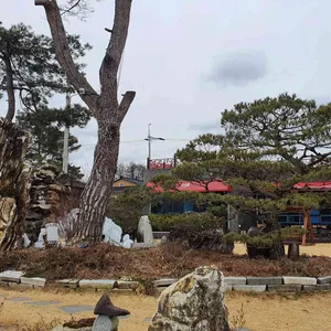 화수목 리뷰 사진