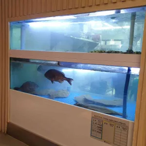 제주마꼬또 리뷰 사진